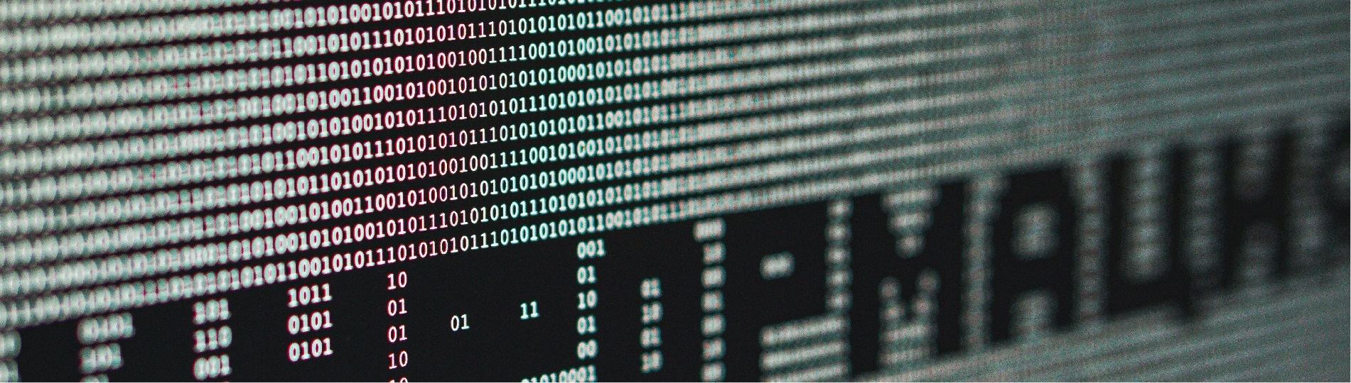 Как отключение WhatsApp отразится на бизнесе: что дальше?